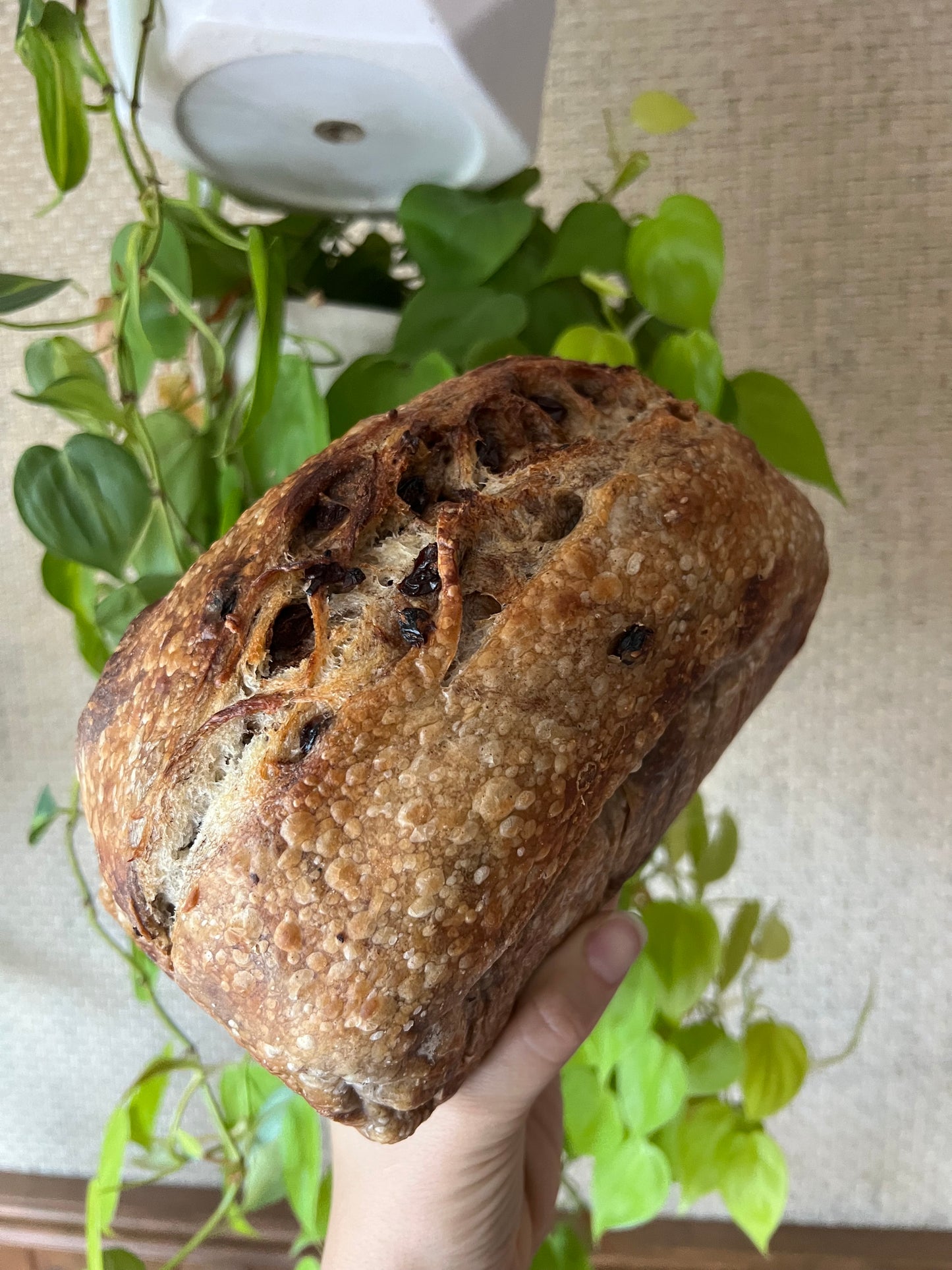 cinnamon raisin sourdough