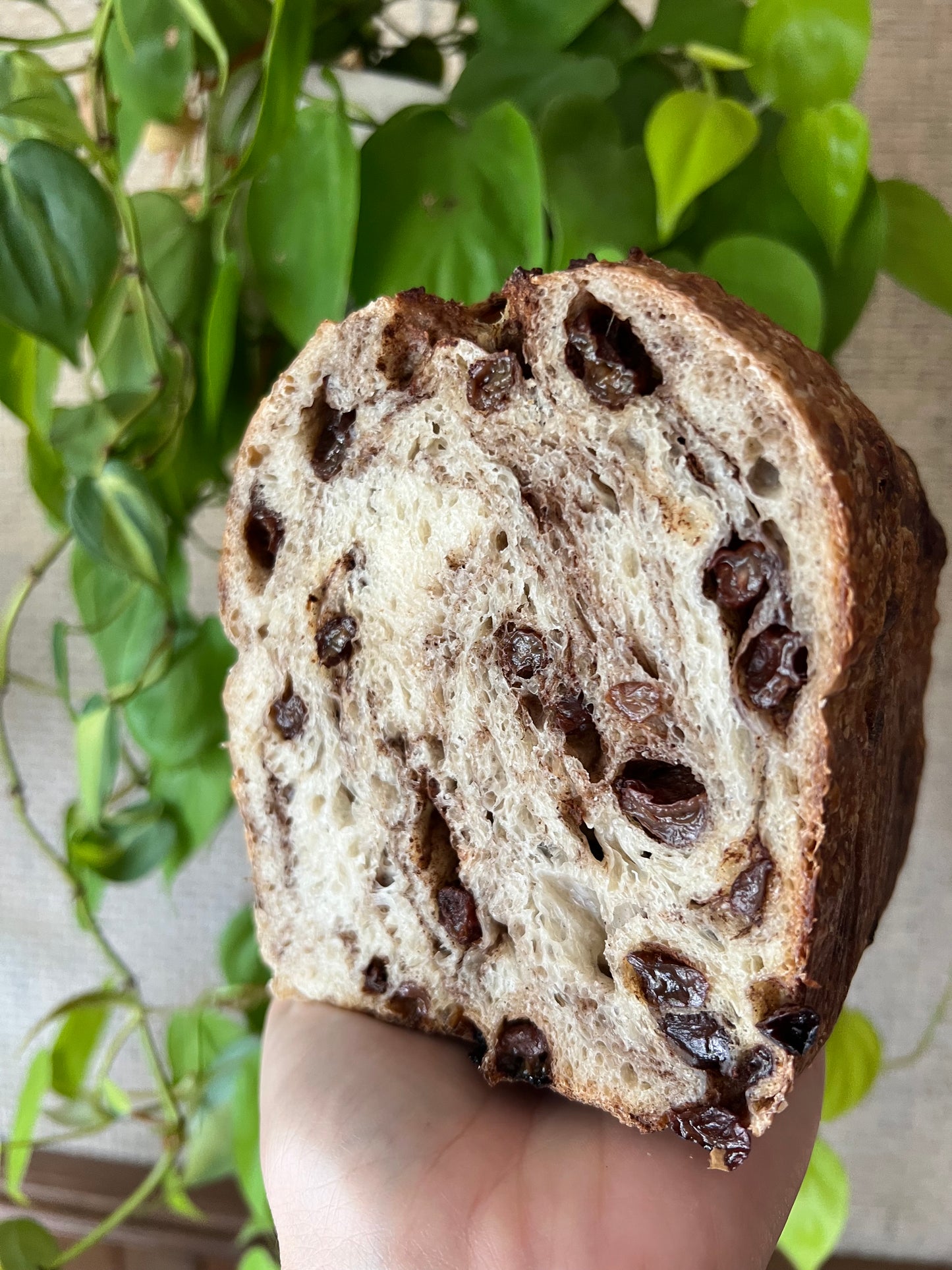 cinnamon raisin sourdough