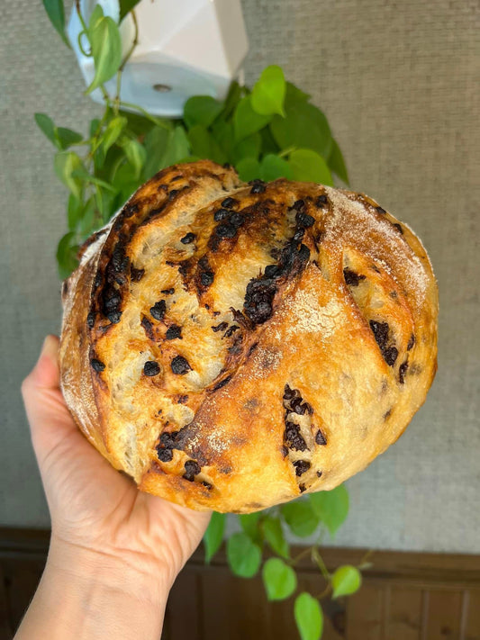 chocolate chip sourdough